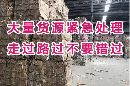 今日6月10日紙廠廢紙回收最新價格 !華東地區漲瘋了！